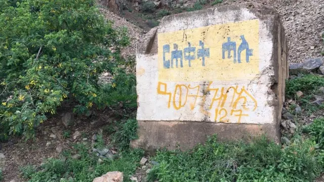 መኪና ዝመርሕ ሰብ፡ ድልየት ናይቲ ኣብ ቅድሚኡ መኪና ዝመርሕ ሰብ ከንብብ ይግደድ። ደው ድዩ ክብል ደልዩ? ንየማን ወላ ንጸጋም ድዩ ከላግስ? ሕለፍ ድዩ ዝብል ዘሎ? ወላስ ካልእ ነቲ ዝሕብሮ መብራህቲ እናተኸታተልካ ክተንብቦ ይግባእ። እዚ ንኽትገብር ግን ርሕቐትካ ክትሕሉ የድሊ። ኣብ ከመይ ዝበለ ኩነታት ብኽንደይ ቅልጣፈ ክትጓዓዝ ኣለካ ዝብል ብስርዓት ምፍላጥ የድሊ።