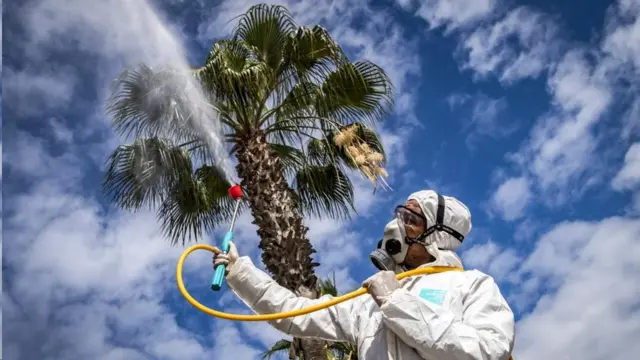 تحقیقات آزمایشگاهی و مدل‌سازی رایانه‌ای نشان داده است که دوام کووید-۱۹ در شرایط گرم و مرطوب کمتر می‌شود