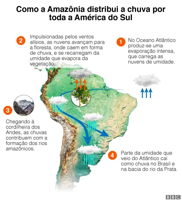 Gráfico sobre 'rio voador'