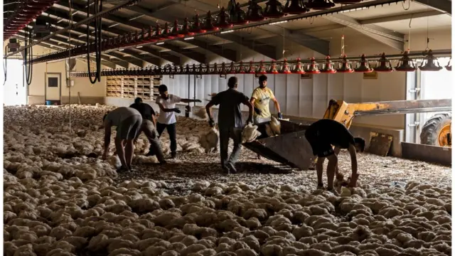 حرائق الغابات في قبرص