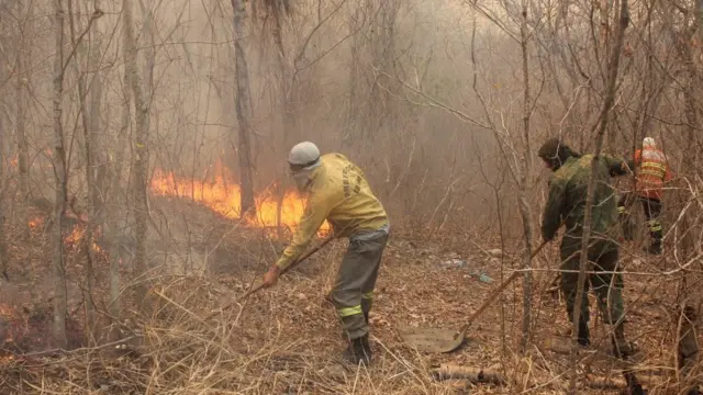 Brigadista tenta controlar fogo no Pantanal