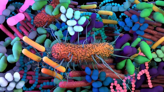 microbiomas