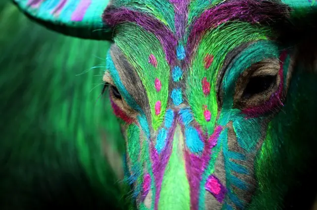 الأسبوع في صور