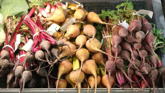 آیا با رژیم غذایی گیاهی می‌توان لاغر شد؟
