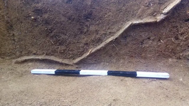 மயிலாடும்பாறை அகழாய்வில் கிடைத்த நீண்ட வாள்.