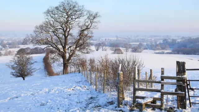 Морозный день в Чешире