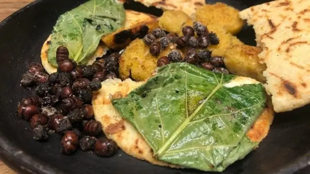 النمل غني بمضادات الأكسدة، وأشارت دراسة إلى أن تناول النمل قد يسهم في الوقاية من السرطان