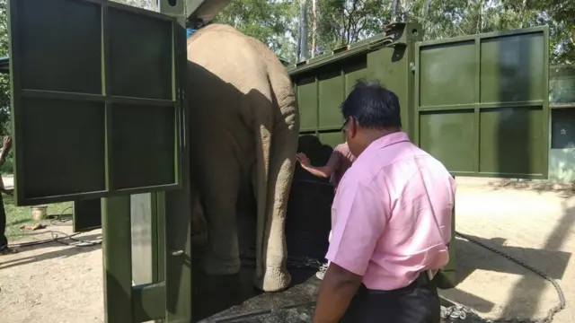 வனவிலங்குகளை மீட்க ஹைட்ராலிக் ஆம்புலன்ஸ்