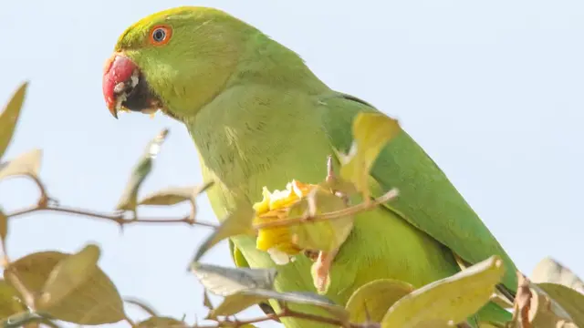 ملیر ایکسپریس وے