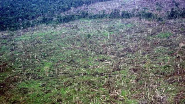 Desmatamento da Amazônia no Brasil