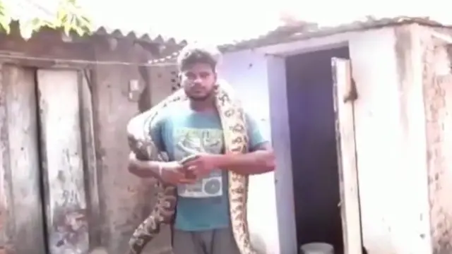 కొండచిలువ