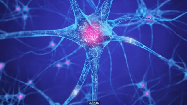 Tədqiqatçılar müəyyənləşdiriblər ki, həftədə 25 saat işləmək idraki fəaliyyət üçün optimal zaman olduğu halda, daha az işləmək, beyin çevikliyi üçün zərərlidir