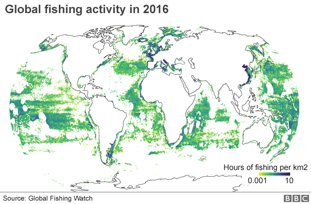 World's fishing fleets mapped from orbit - BBC News