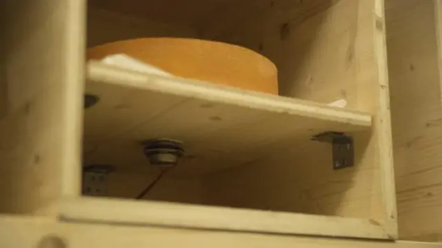 Queijo sendo maturado