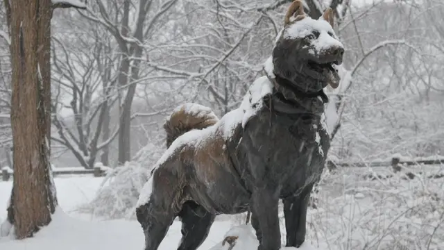 Статуя Балто в Центральному парку в Нью-Йорку