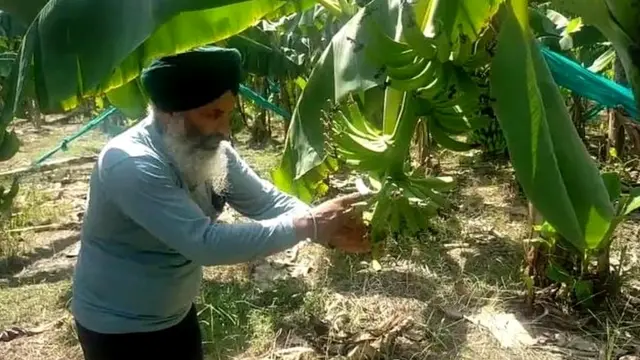 ਬਲਵੀਰ ਸਿੰਘ