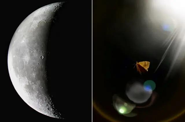 "Темная сторона"