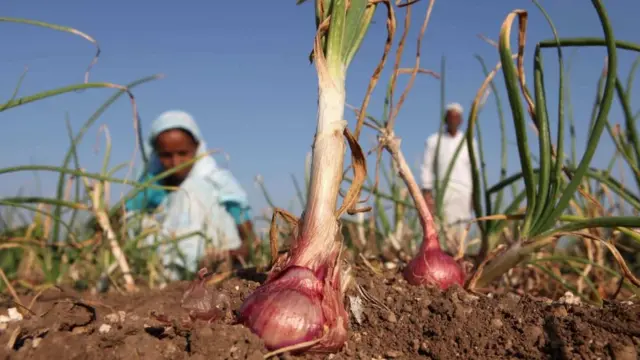 પ્રતીકાત્મક તસવીર