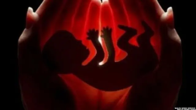 ਔਰਤਾਂ ਦਾ ਸਿੱਖਿਆ ਤੇ ਨੌਕਰੀ ਵੱਲ ਰੁਝਾਨ ਵੀ ਇੱਕ ਕਾਰਨ ਮੰਨਿਆ ਜਾ ਰਿਹਾ ਹੈ