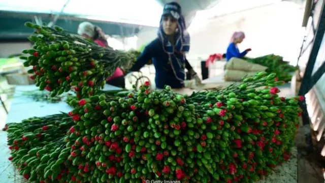 Mulher prepara flores para o Dia das Mães na Turquia,roleta da google2016