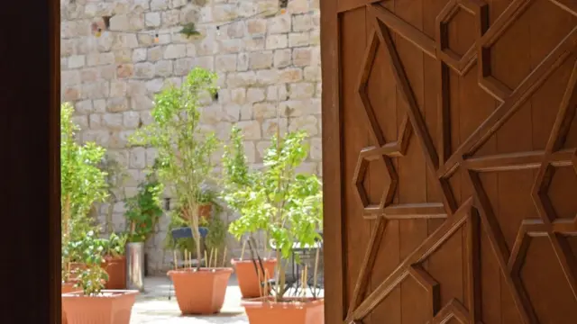 （Credit: Sara Toth Stub）