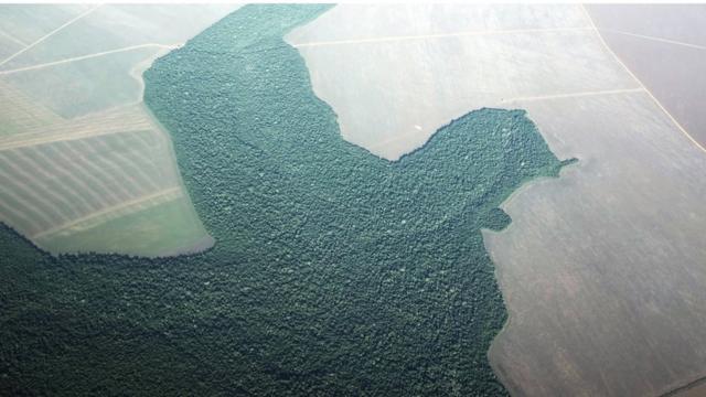 Imagem de área parcialmente desmatada na Amazônia