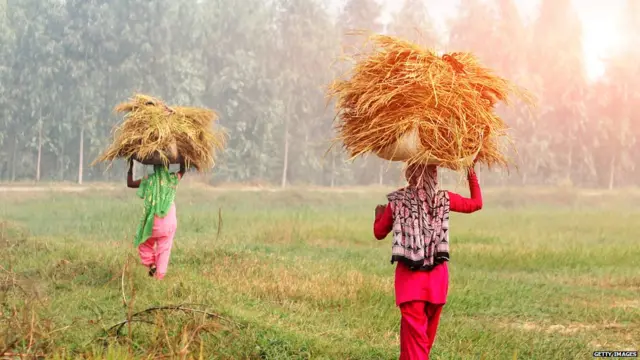 ਕੋਰੋਨਾਵਾਇਰਸ