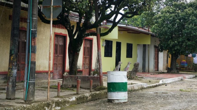 Tibu, Colombia