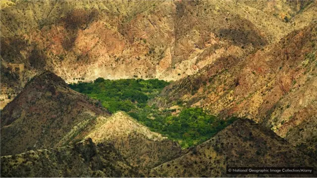 O cânion do rio Marañón impediu um pequeno grupobet7k baixarcacaueirosbet7k baixarser dizimado por uma praga na lavoura