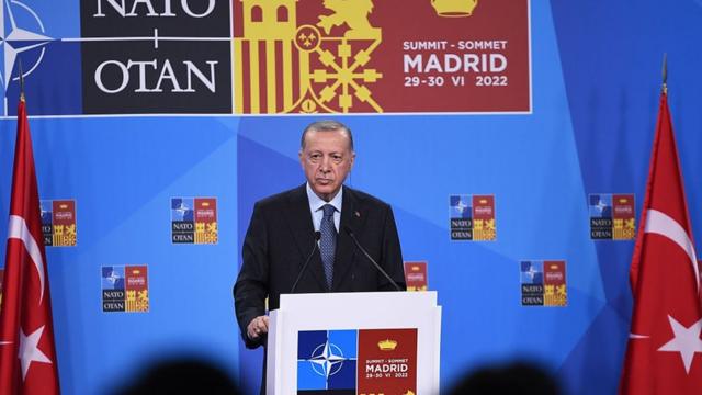 Presidentepoker asTurquia, Recep Tayyip Erdogan