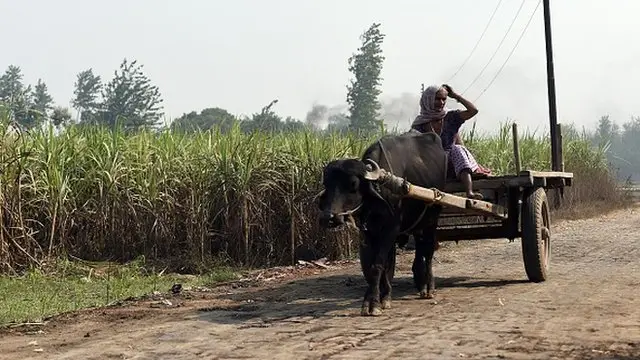 Menstruating women in India