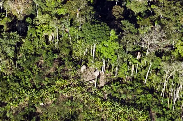 Roça próxima a aldeia indígena