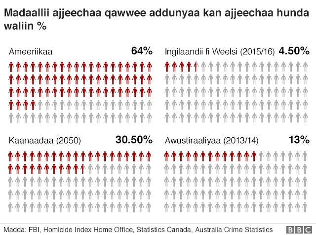 ameerikaaf biyyoota biroo