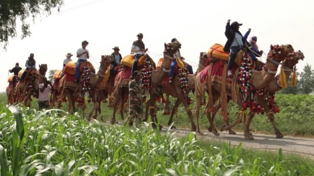 ઊંટ પર સવાર બીએસએફની સૈનિકો