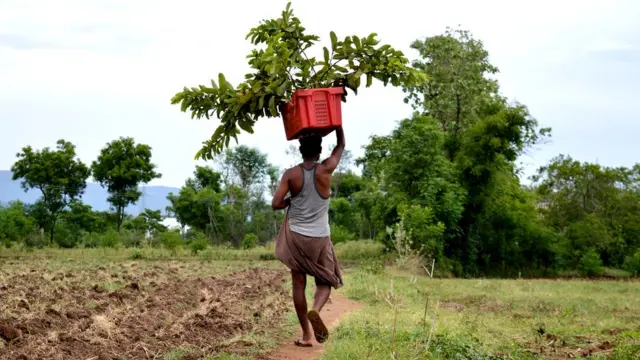 எம்.எம். சந்திரசேகரன்