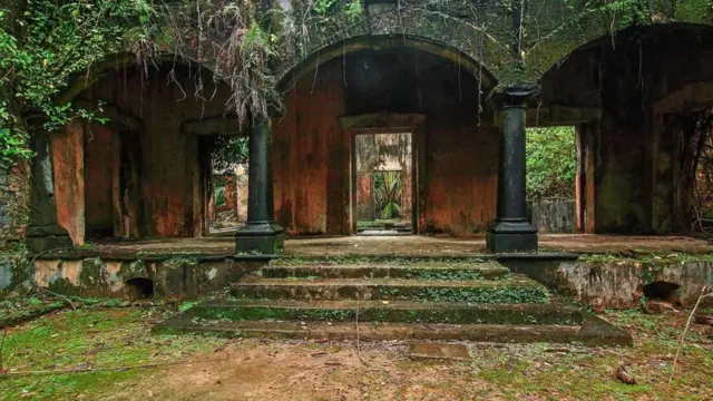 （圖片來源：Neelima Vallangi）