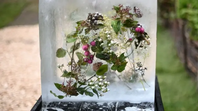 Flowers are pictured pictured encapsulated in a block of ice
