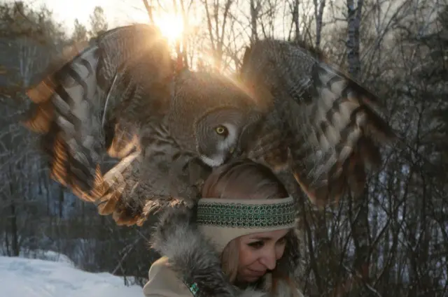 ترويض حيوانات برية