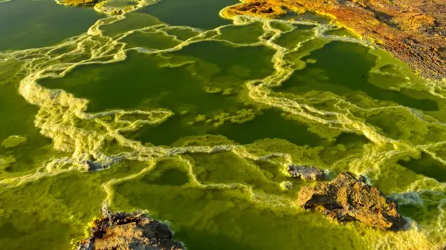 Zone volcanique de Dallol, dépression de Danakil, Éthiopie