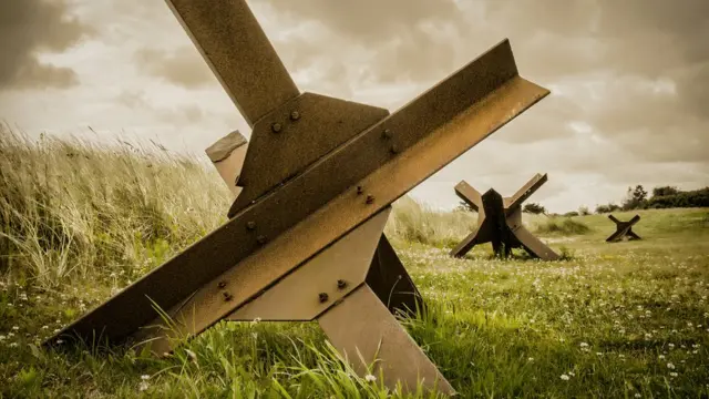 Ежи на пляже в Нормандии