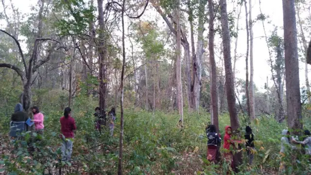 ကရင်နီပြည်၊ စစ်ဘေးရှောင်စာသင်ခန်း တောတွင်းလေ့လာခြင်း