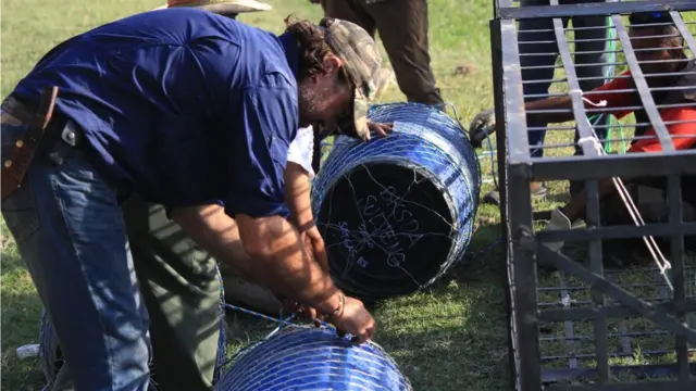 croc, palu, rescue, australian presenter matt wright