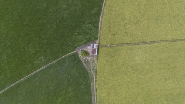 "เกษตรกรไม่ต้องรวยนะครับ แค่มีอยู่ มีกิน มีใช้ มีให้ลูกไปโรงเรียน ก็มีความสุขแล้ว" บุญฤทธิ์ หอมจันทร์