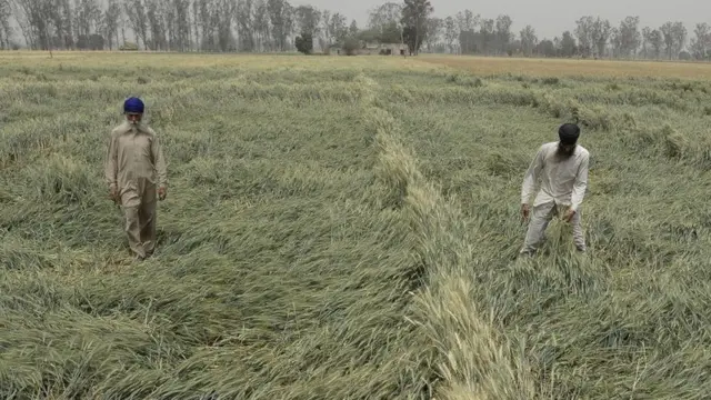 ভারত কৃষি