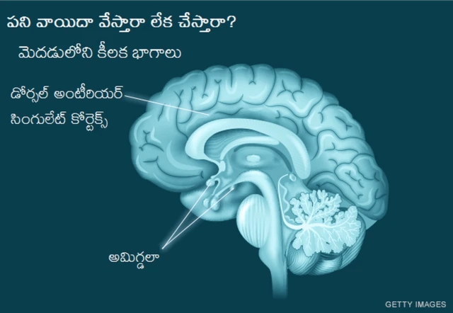 పని వాయిదా వేస్తారా