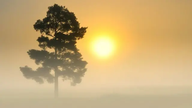 Полісся всихає