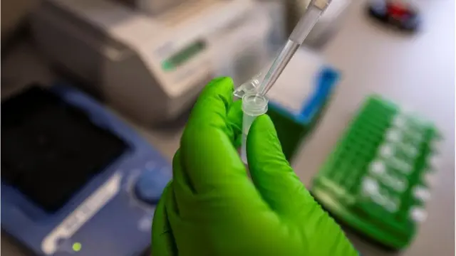 কিছু কাঁচামালের একটি মিশ্রণে ক্যান্সারের ঝুঁকিযুক্ত কোন উপাদান তৈরি হয়েছে।