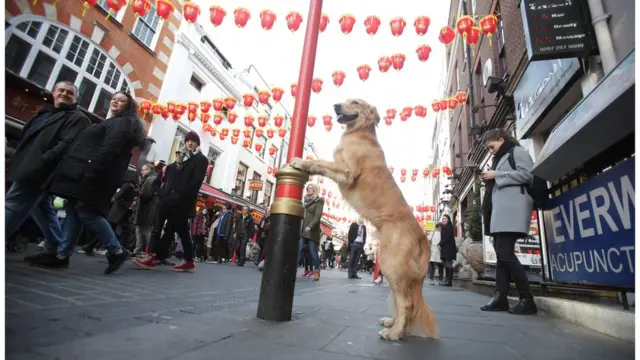 英國倫敦多處也有燈籠裝飾。