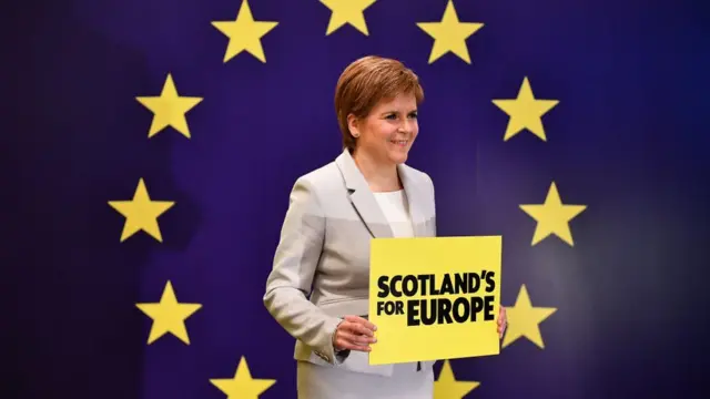 Sturgeon European flag