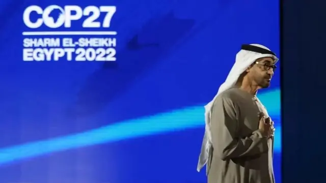 محمد بن زايد